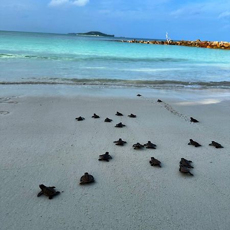 Cap Jean Marie Beach Villas Anse Kerlan Eksteriør billede