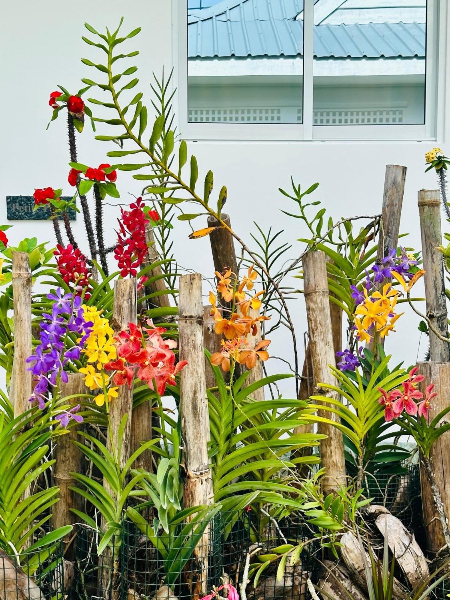 Cap Jean Marie Beach Villas Anse Kerlan Eksteriør billede